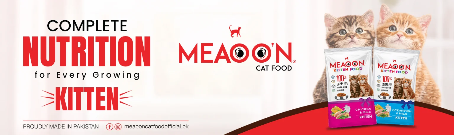 Meaoon_banner 2