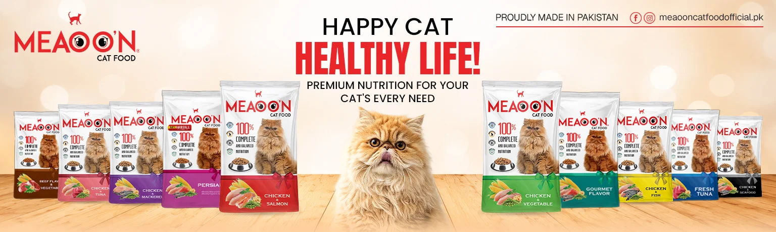 Meaoon_banner